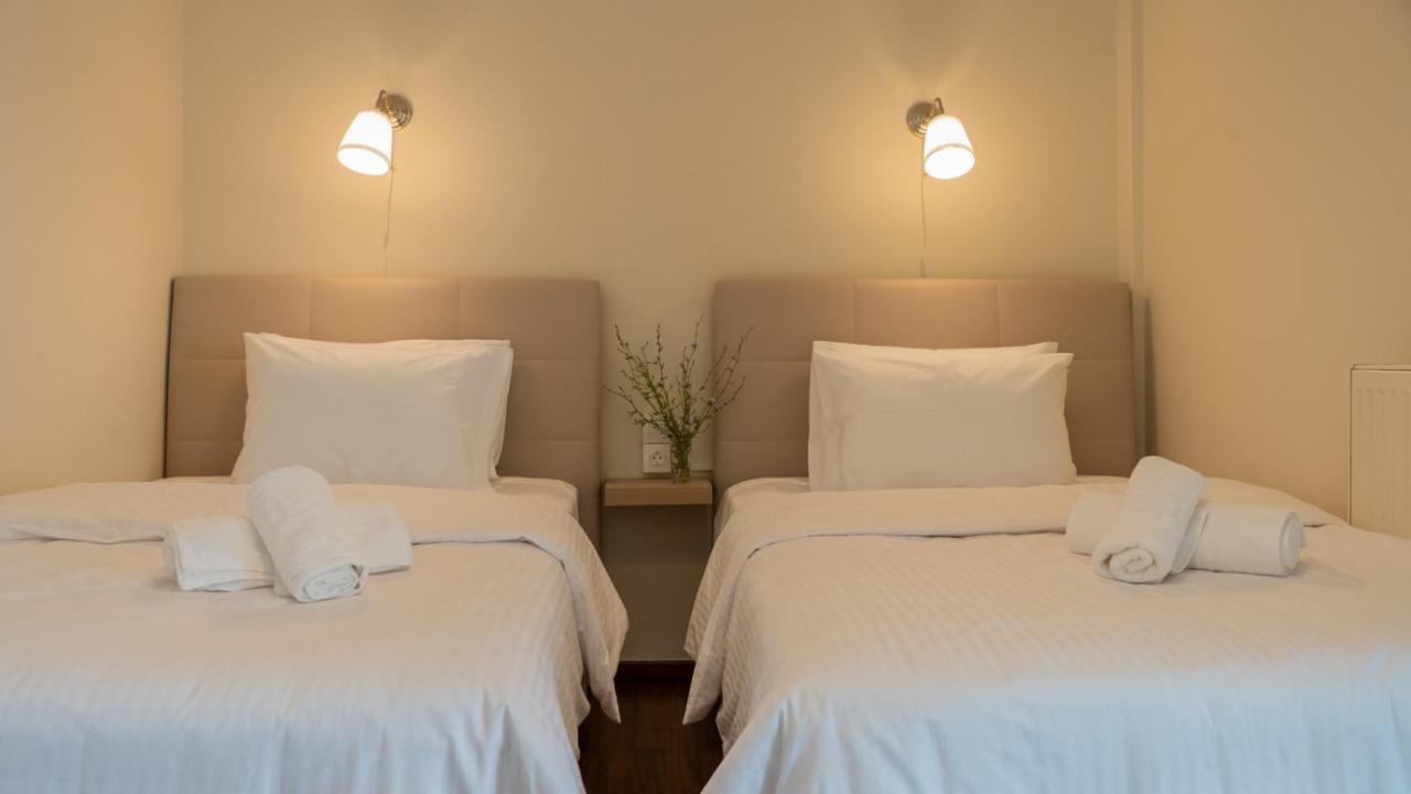 L'Olivier House Apartment Kalampáka Luaran gambar
